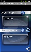 How Do You Say? (Translator) poster