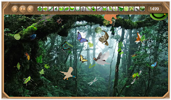 Rain Forest Hidden Objects poster