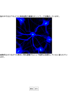 Neural Network ภาพหน้าจอ 1