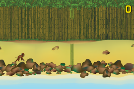 Bamboo Monkey poster