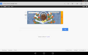 Fortune Web Browser স্ক্রিনশট 4