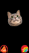 برنامه‌نما Spinning Cat Face عکس از صفحه