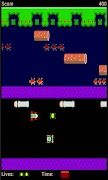 Frogger ภาพหน้าจอ 1