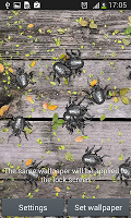 Insects Everywhere Live Wallpp Ekran Görüntüsü 2