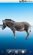 Zebra Sticker Ekran Görüntüsü 2