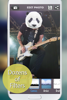 Panda Face poster