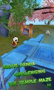Panda Run Affiche