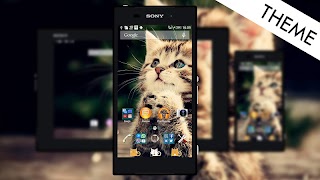 Theme eXp - Kitty-poster