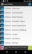 Learn python Poster