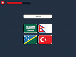Erraten sie die Flagge Screenshot 5