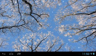 Schneefall Screenshot 5