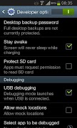 Developer Options Screenshot 2