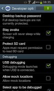 Developer Options captura de pantalla 2