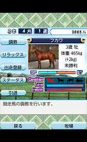 EXダービーブリーダーIV　【育成競馬ゲーム】 captura de pantalla 2