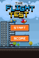 The Flight Test poster