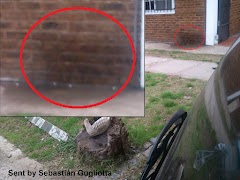 Ghost Detector capture d'écran 7