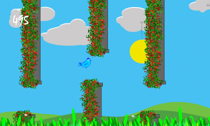 sky bird 스크린샷 3