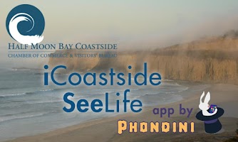iCoastside SeeLife ポスター