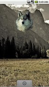 Wolf Sticker постер