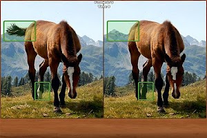Horses Spot the Difference Screenshot 1