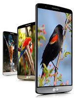 American Bird Sounds captura de pantalla 2