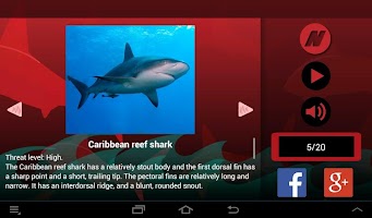 Tiburones captura de pantalla 3
