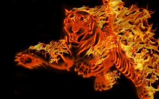 3D Tigers capture d'écran 4