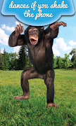 Talking Monkey تصوير الشاشة 2