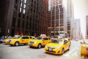 New App Real Shot 截图 3