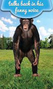 Talking Monkey Ekran Görüntüsü 1