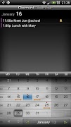 Gemini Calendar Screenshot 1