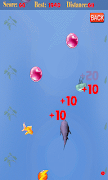 Rapid Shark poster