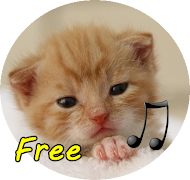 برنامه‌نما call Cat عکس از صفحه