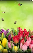 برنامه‌نما Tulips عکس از صفحه