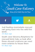SCF web app screenshot 3