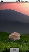 Hedgehog Sticker screenshot 1