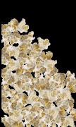 Fun Popcorn تصوير الشاشة 7