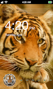 King Forest Lock Screen captura de pantalla 3