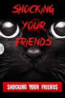 Shocking Your Friends - Part 2 poster