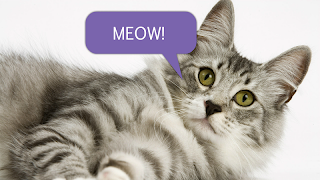 Cat's Translator poster