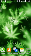 Marijuana Live Wallpaper poster