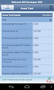 Stellar Bolas ERP screenshot 2