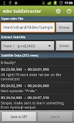 mkv SubExtractor постер