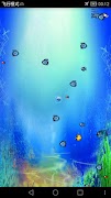 Super Fish Cartaz