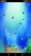 Super Fish 海报