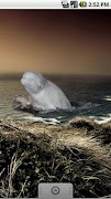 برنامه‌نما Beluga Sticker عکس از صفحه