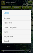 Forest Sounds syot layar 2