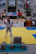 Taekwondo Forms Screenshot 3