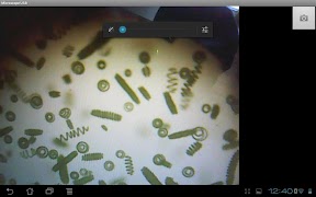 Microscope USB پوسٹر