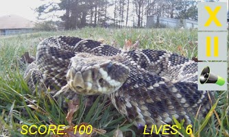 Snakebite 截图 2